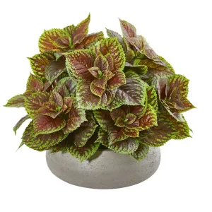 16” Coleus Artificial Plant in Decorative Planter (Real Touch)