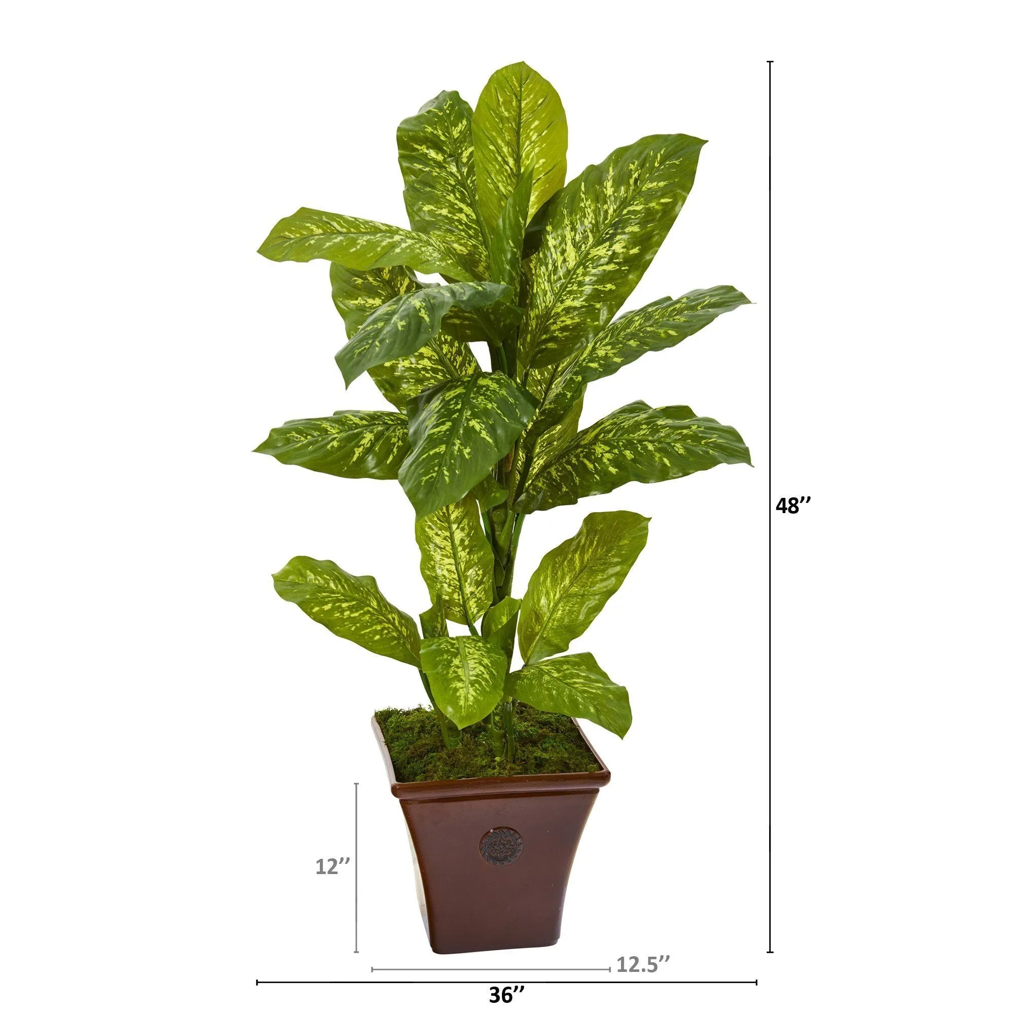 4’ Dieffenbachia Artificial Plant in Brandy Planter (Real Touch)