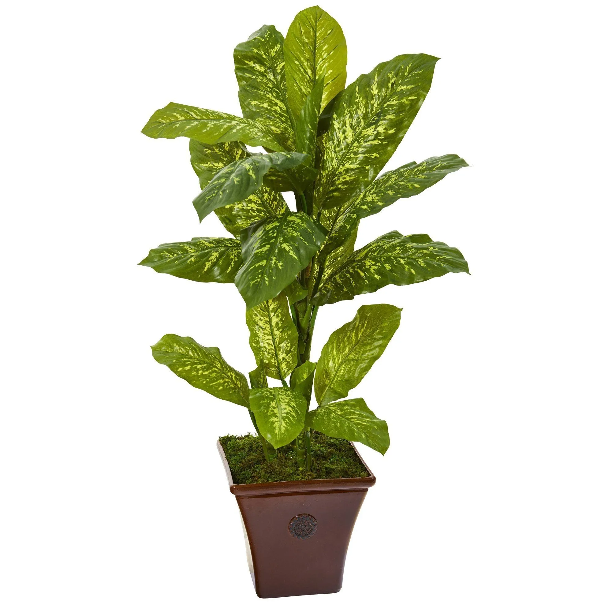 4’ Dieffenbachia Artificial Plant in Brandy Planter (Real Touch)