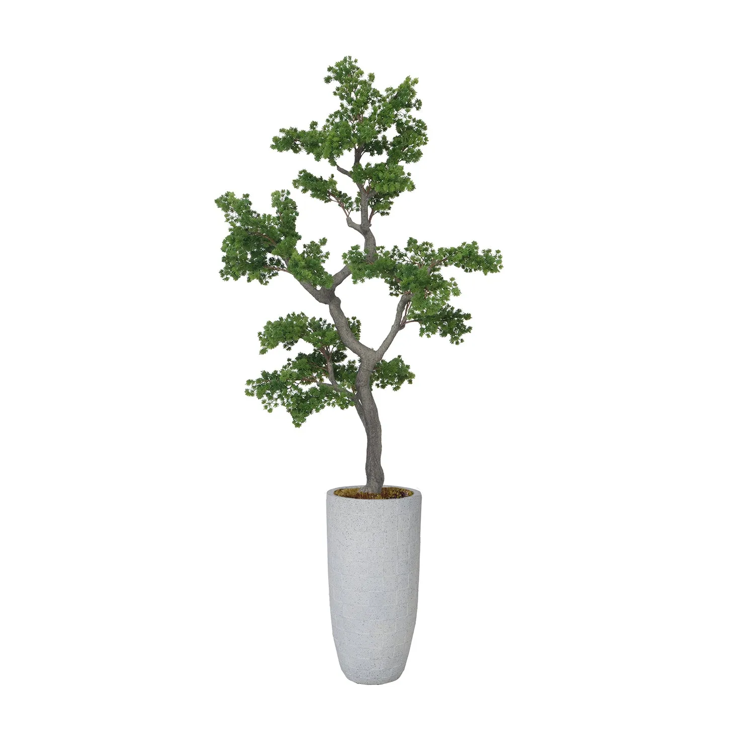 Artificial Faux White Pine Tree | Real Touch Faux Pinus Strobus Tree