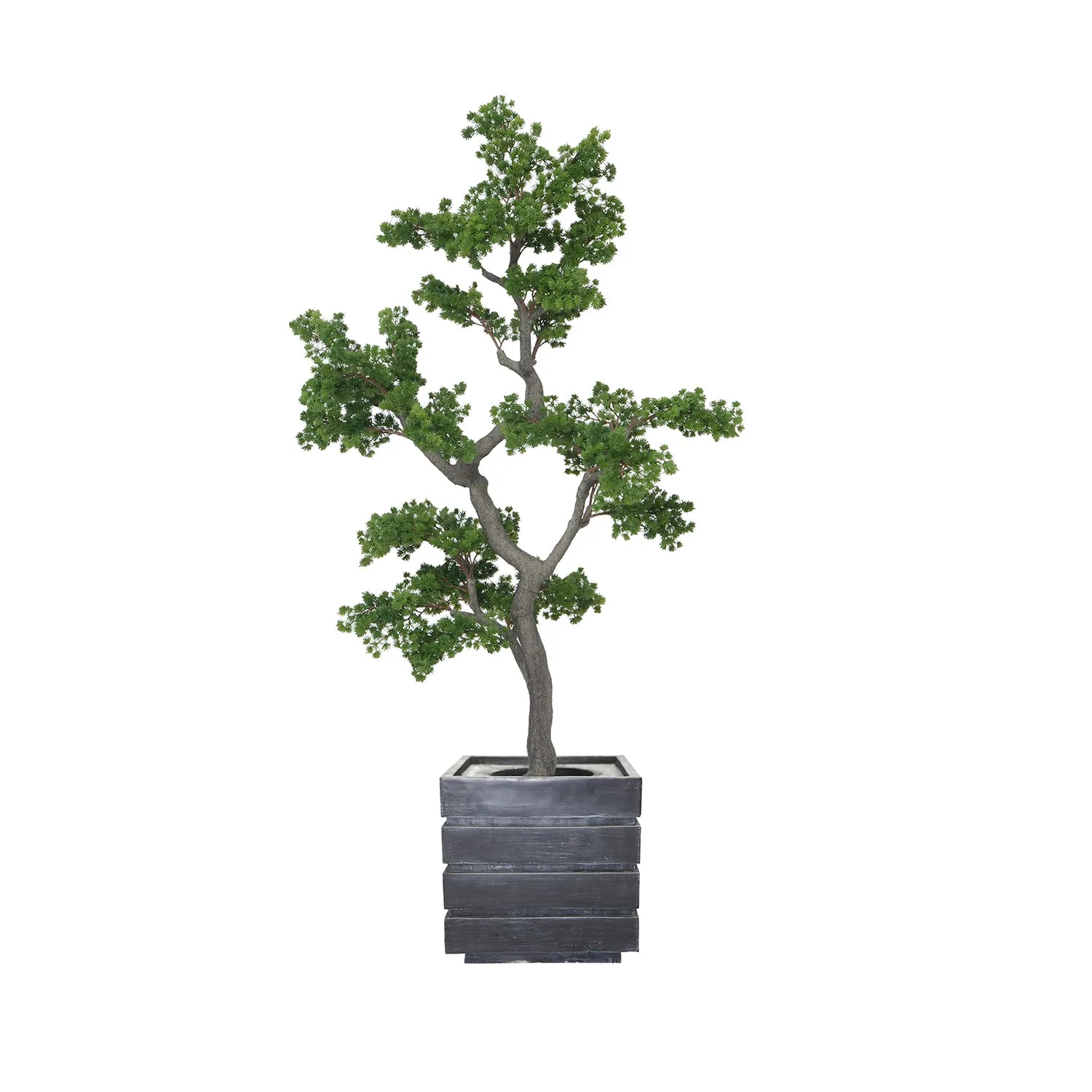 Artificial Faux White Pine Tree | Real Touch Faux Pinus Strobus Tree