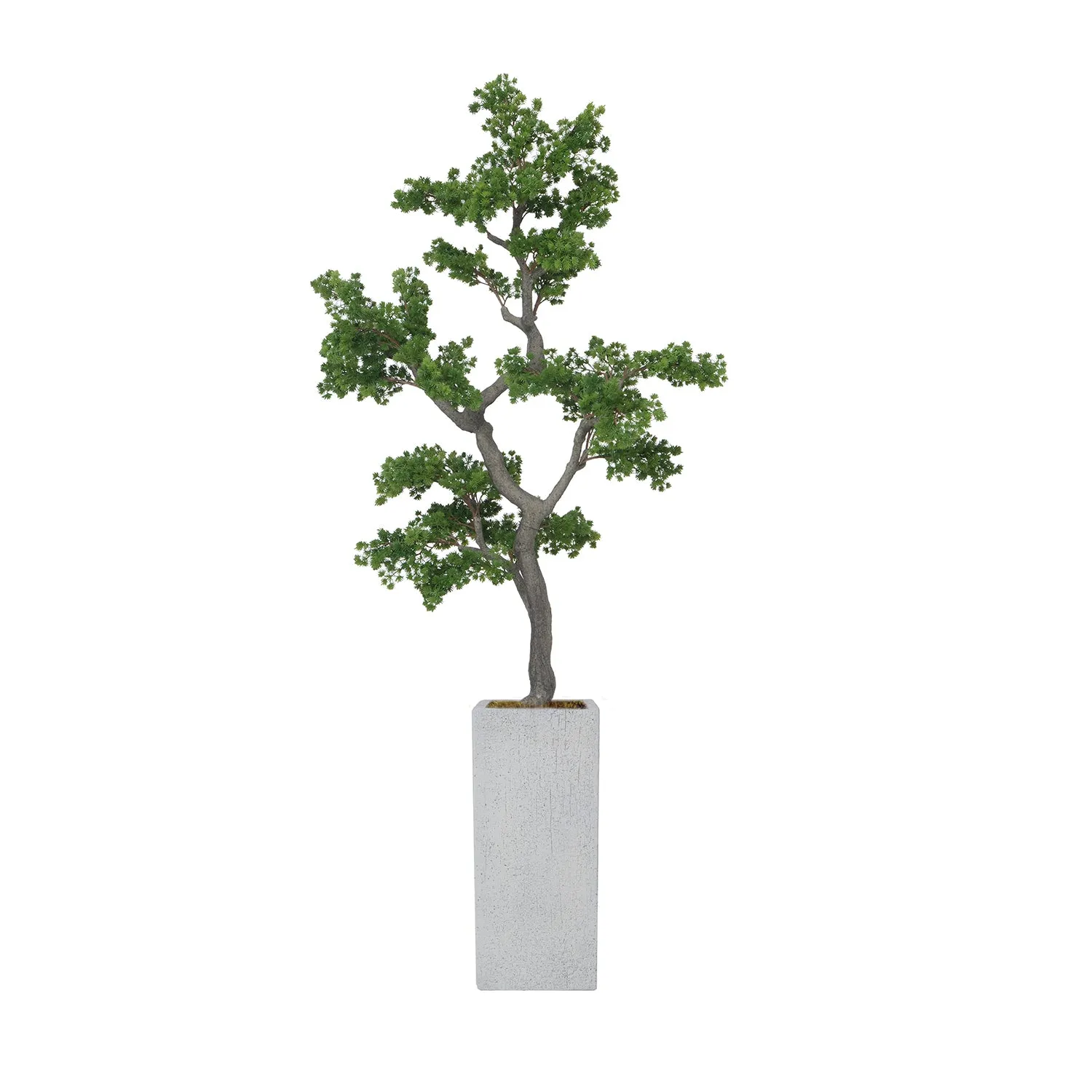 Artificial Faux White Pine Tree | Real Touch Faux Pinus Strobus Tree