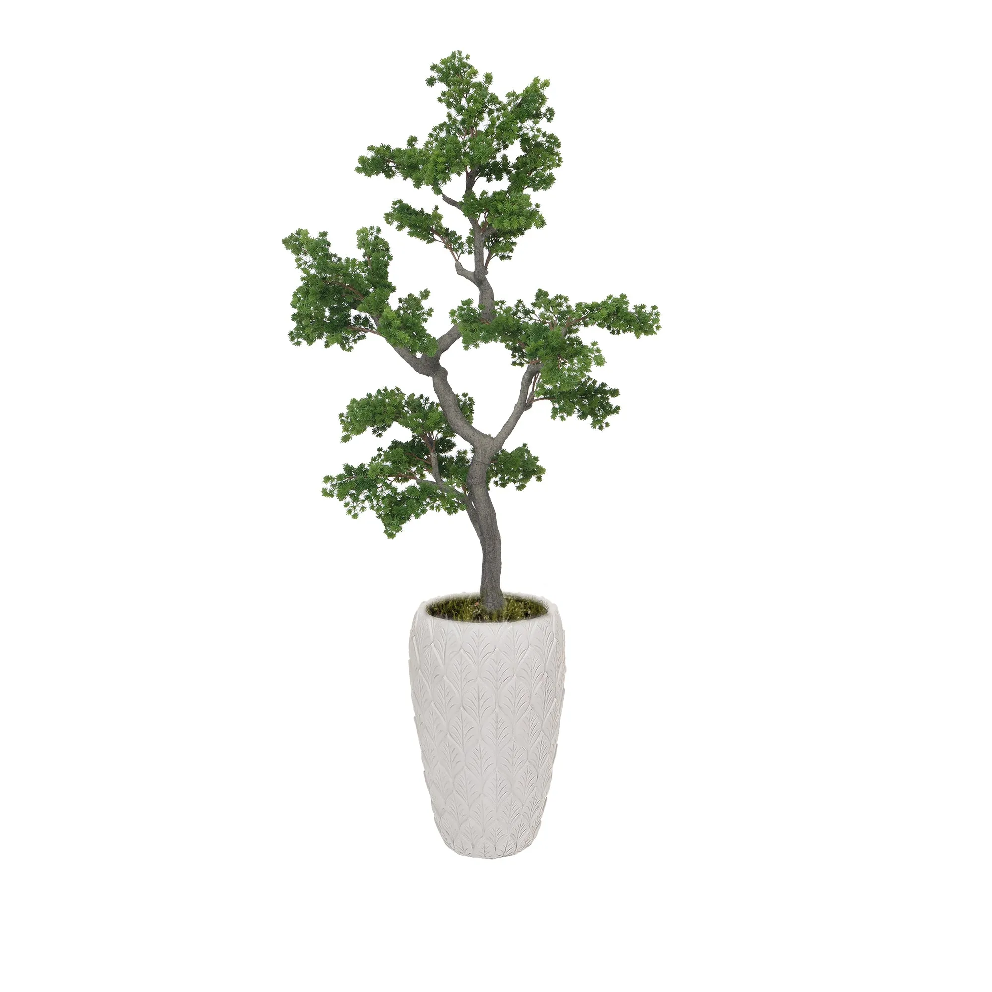 Artificial Faux White Pine Tree | Real Touch Faux Pinus Strobus Tree