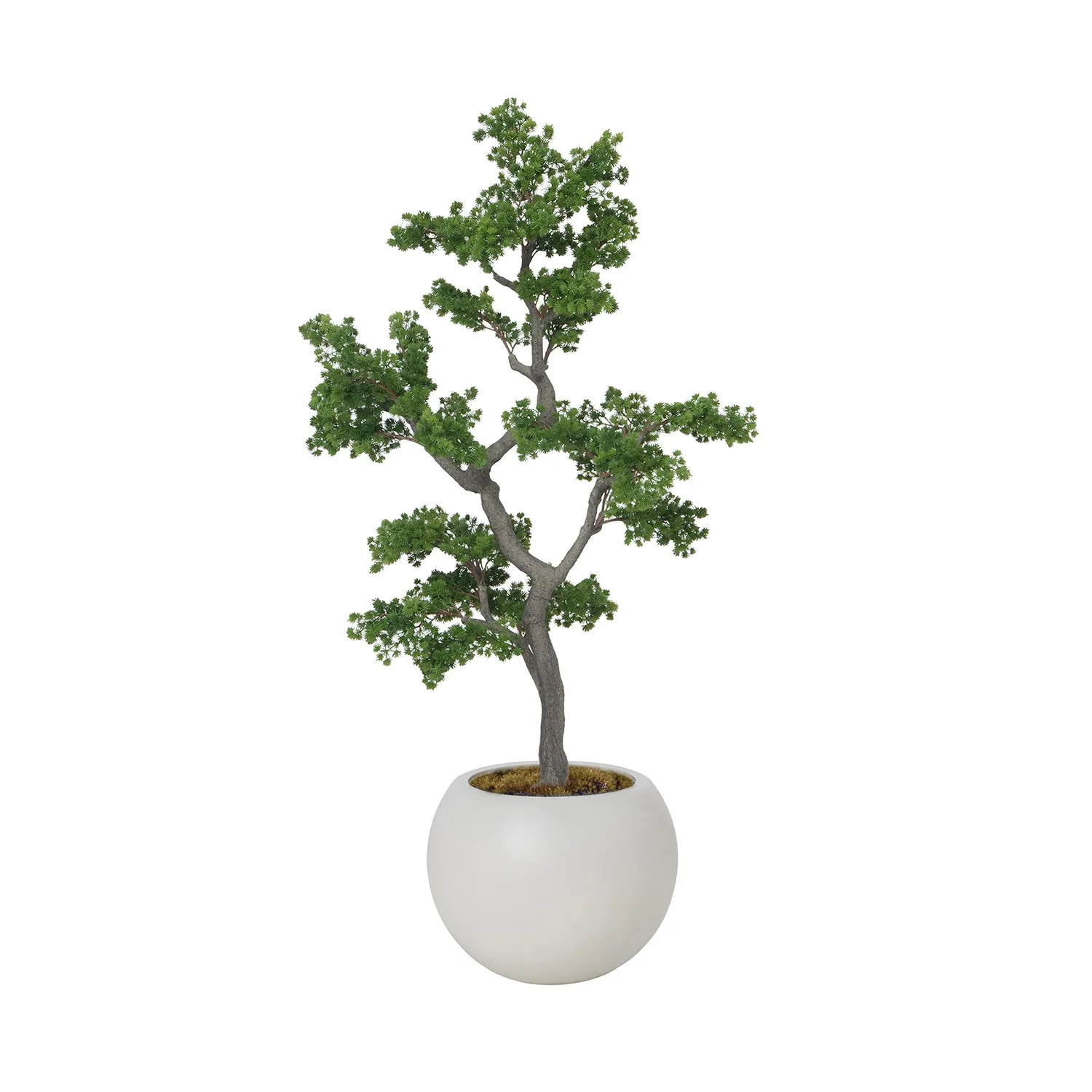 Artificial Faux White Pine Tree | Real Touch Faux Pinus Strobus Tree