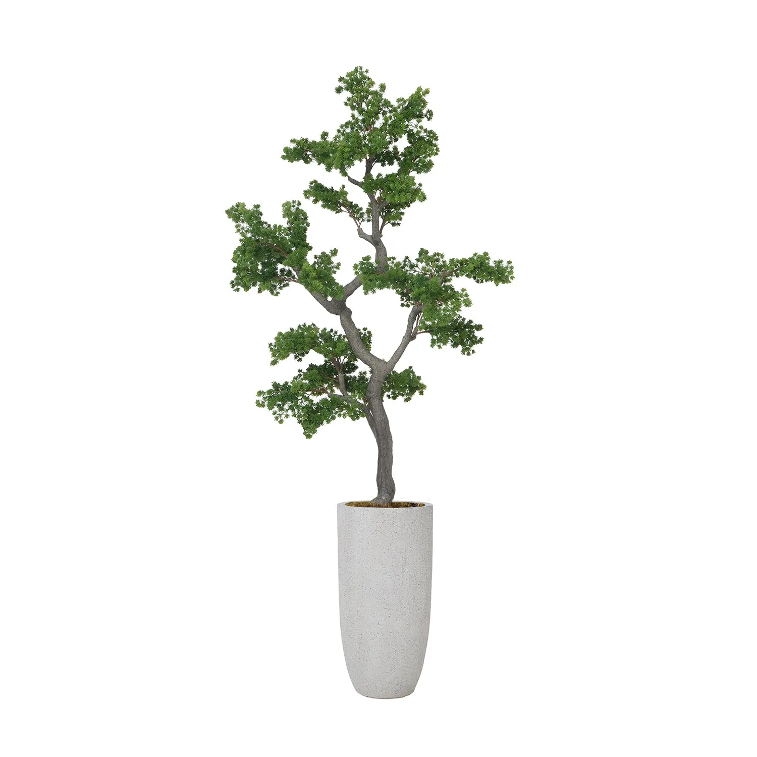 Artificial Faux White Pine Tree | Real Touch Faux Pinus Strobus Tree