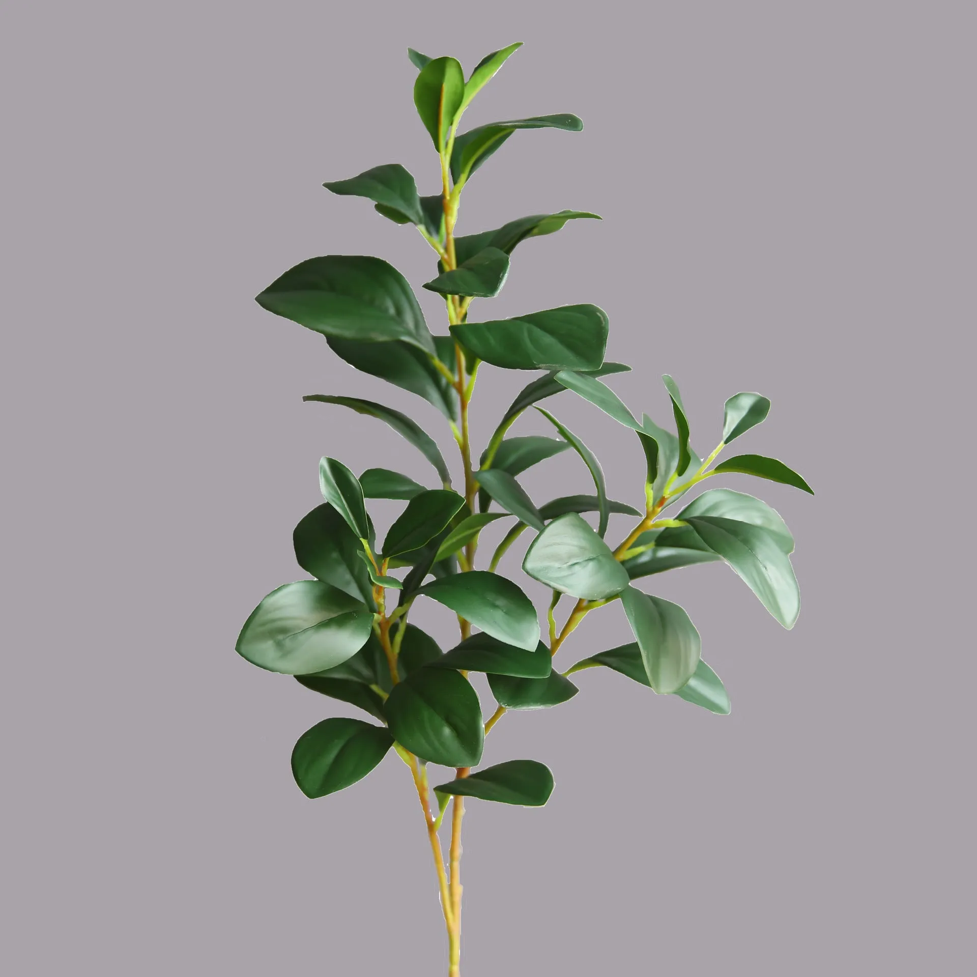 Bulk 27" Greenery Plant Peperomia Leaf Ficus Stem Wholesale