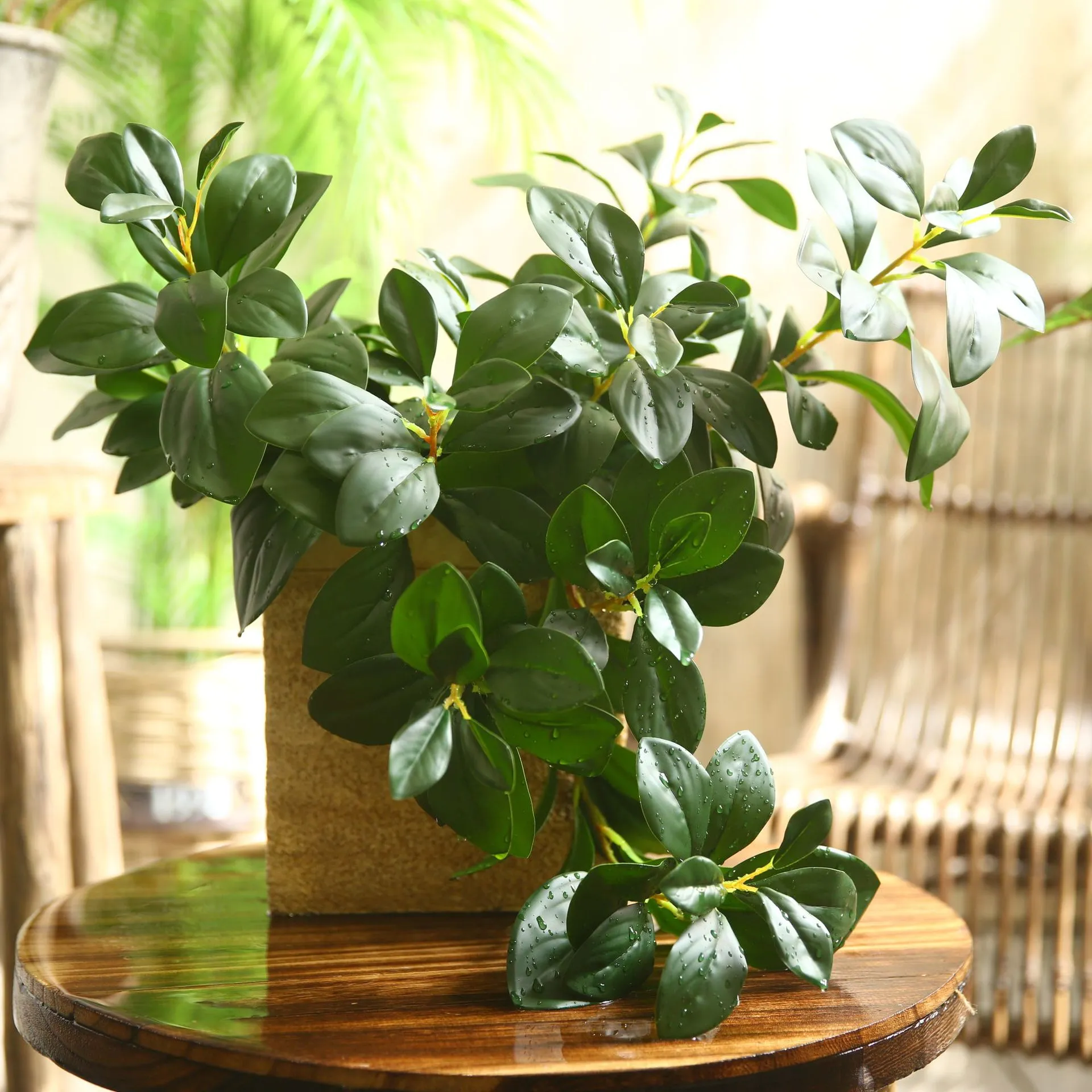 Bulk 27" Greenery Plant Peperomia Leaf Ficus Stem Wholesale