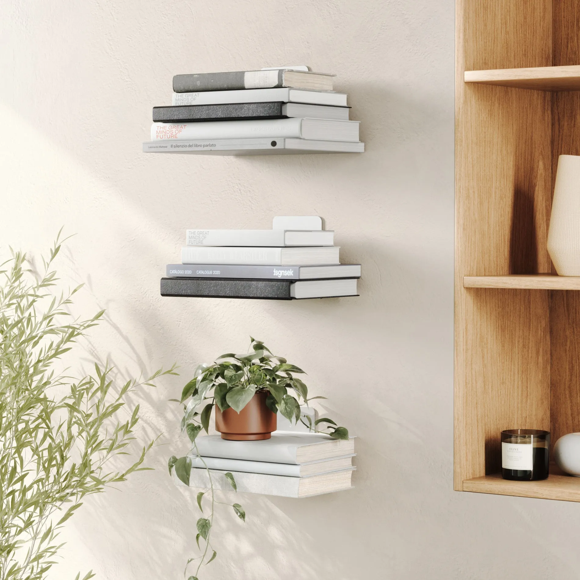 Conceal Shelves, Set Of 3