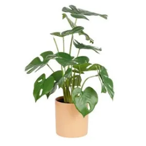 Monstera Real Touch Plant and Pot