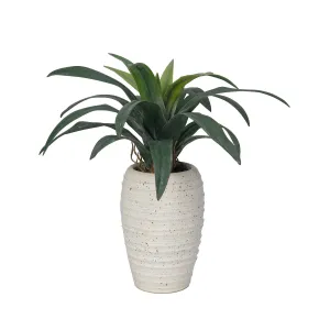 Realistic 20" Real Touch Fake Succulent Plant in a Beige Planter| Indoor and Outdoor Décor